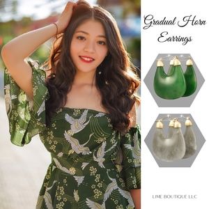 Gradual Horn Earrings
